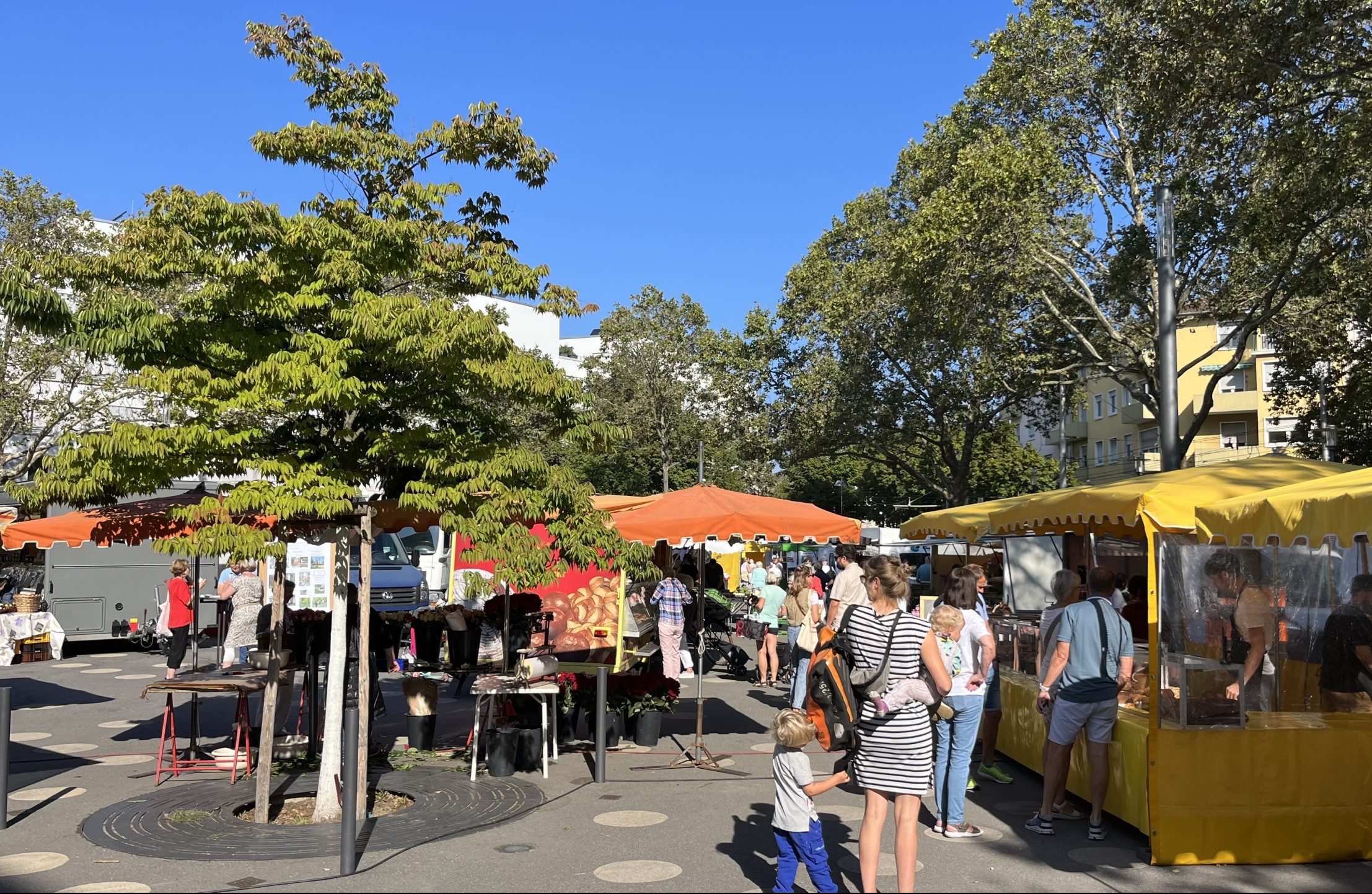 BIG Lindenhof für den Meeräckerplatz